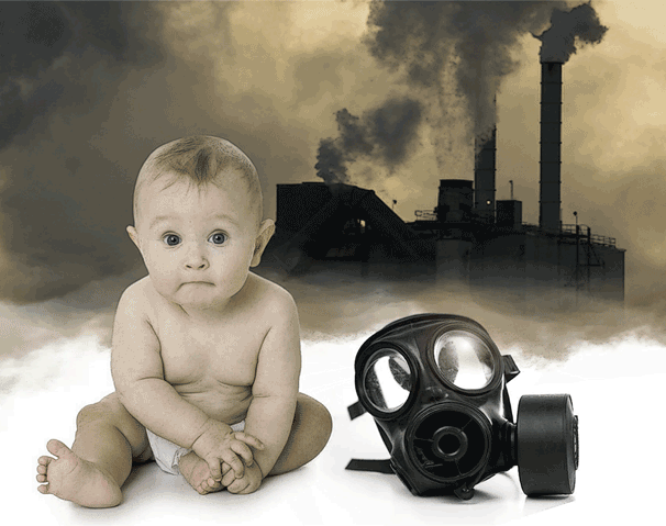 Lower Emissions Altentech Biomass Dryer